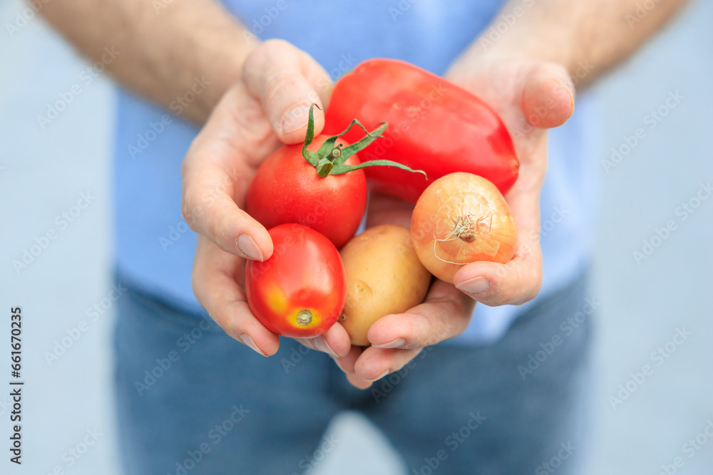 A man's hand holds vegetables. Selective focus on hands with blurred background A man's hand holds vegetables. Selective focus on hands with blurred background