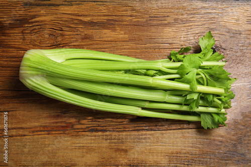 One fresh green celery bunch on wooden table, top view