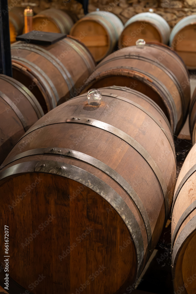 Wine cellar with wooden barrels in old wine domain on Sauternes vineyards in Barsac village affected by Botrytis cinerea noble rot, making of sweet dessert Sauternes wines in Bordeaux, France Wine cellar with wooden barrels in old wine domain on Sauternes vineyards in Barsac village affected by Botrytis cinerea noble rot, making of sweet dessert Sauternes wines in Bordeaux, France