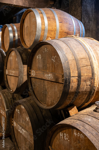 Aging process of cognac spirit in old French oak barrels in cellar in distillery in Cognac white wine region  Charente  Segonzac  Grand Champagne  France