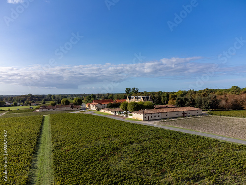 Aerial view on left bank of Gironde Estuary with green vineyards with red Cabernet Sauvignon grape variety of famous Haut-Medoc red wine making region, Bordeaux, France