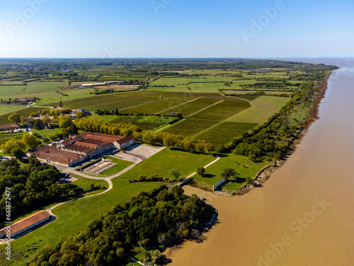 Aerial view on vineyards  Gironde river  wine domain or chateau in Haut-Medoc red wine making region    Bordeaux  left bank of Gironde Estuary  France
