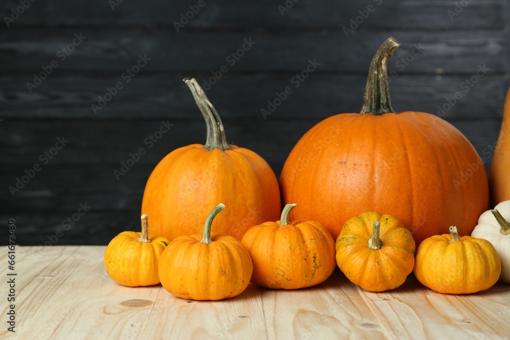 Thanksgiving day. Many different pumpkins on wooden table Thanksgiving day. Many different pumpkins on wooden table