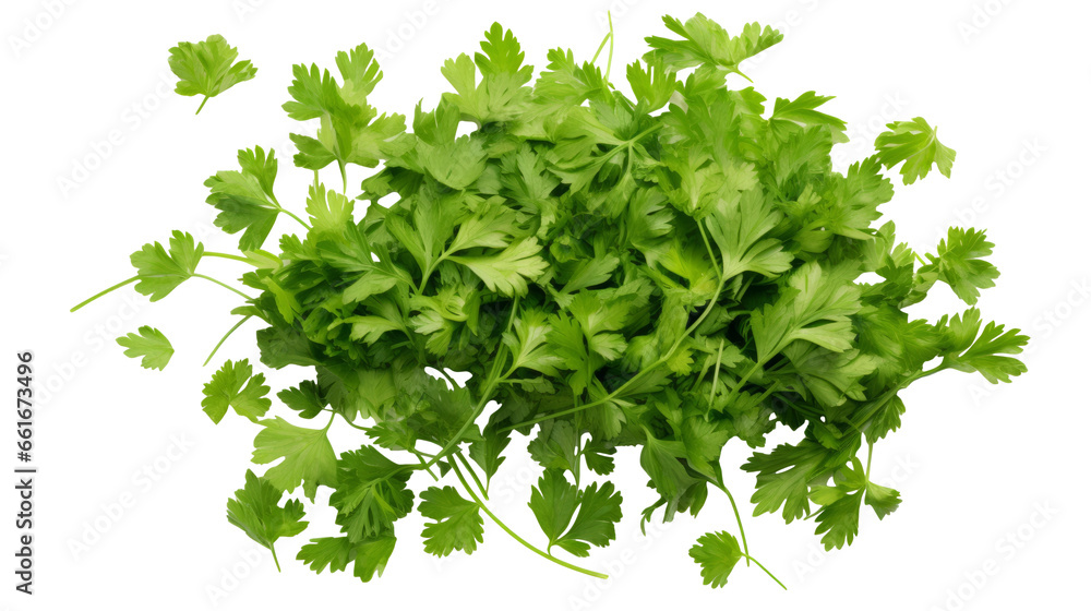 Obraz premium Parsley Herb Pieces Isolated on Transparent Background: Fresh Green Culinary Ingredient, PNG