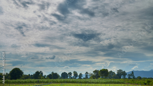 cloud before storm above summer landscape