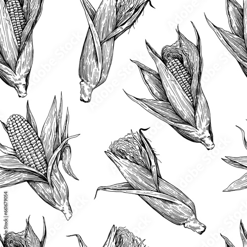 Seamless pattern with corn cobs. Drawing in old retro engraving style. Hand drawn detailed botanical illustration