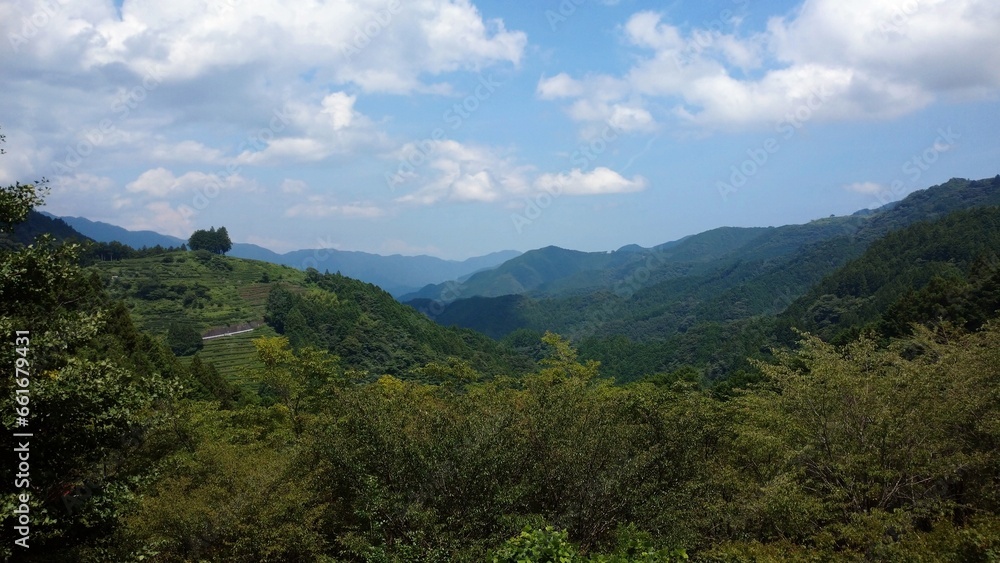 view of the mountain forest