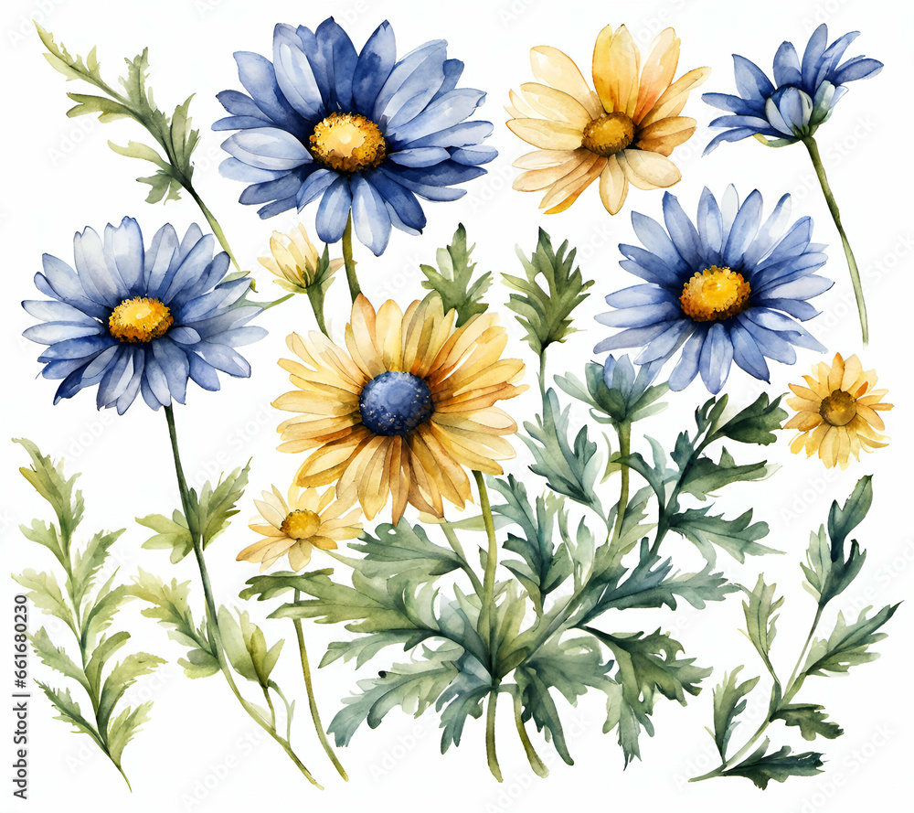 Fototapeta premium Painted Daisy flower with leafs, pastel watercolor drawing