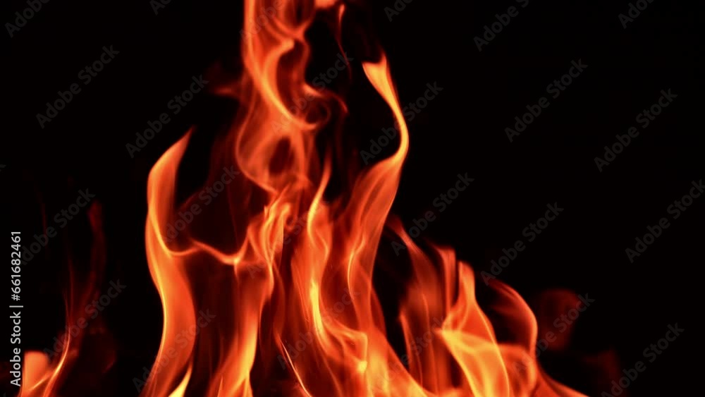 Flames of fire in the big campfire. Burnt wood protruding from blaze. Close up. Black backdrop. Flames of fire in the big campfire. Burnt wood protruding from blaze. Close up. Black backdrop.