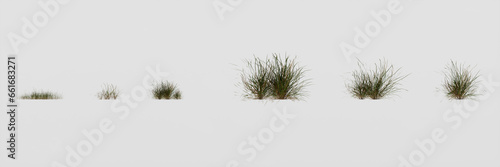 Set of grass isolated on white background, 3d render