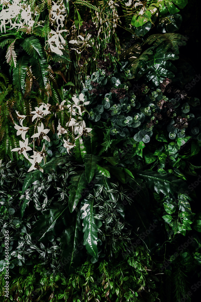 Herb wall, plant wall, natural green wallpaper and background. nature wall. Nature background of green forest Herb wall, plant wall, natural green wallpaper and background. nature wall. Nature background of green forest