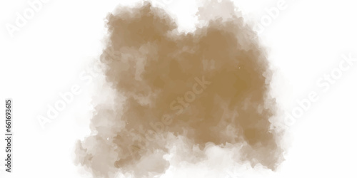 Freeze motion of brown dust explosion. Stopping the movement of brown powder. Explosive brown powder on white background. Dry soil splater on white background.