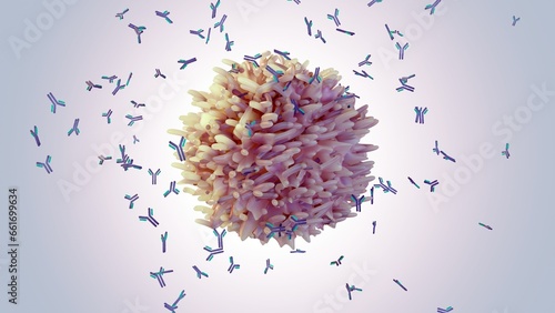 B cells help protect the body against germs, virus, or bacteria by making proteins called antibodies 3d rendering