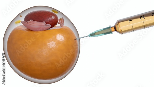 Adipocytes or lipocytes or fat cells injected by medical syringe 3d rendering photo