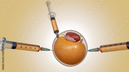 Adipocytes or lipocytes or fat cells injected by medical syringe 3d rendering photo