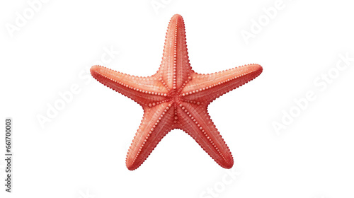 starfish on the transparent background