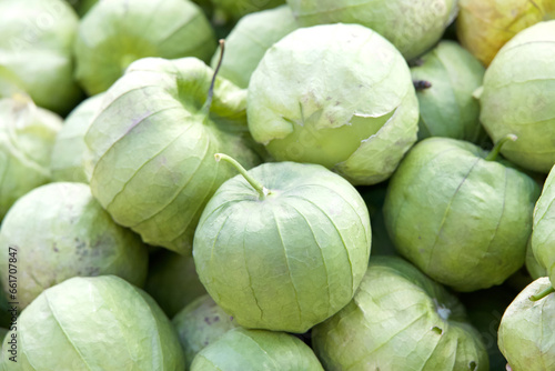 Close up on pile of Tomatillo Tomatoes. A round, green fruit produced inside a papery husk