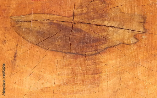 Plywood textured wooden background or wood surface of the old at grunge dark grain wall texture of panel top view. Vintage teak.