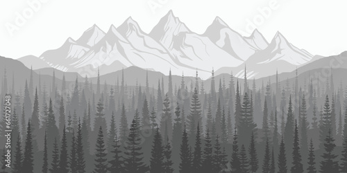 Black and white landscape, spruce forest against the background of snow-capped mountains	