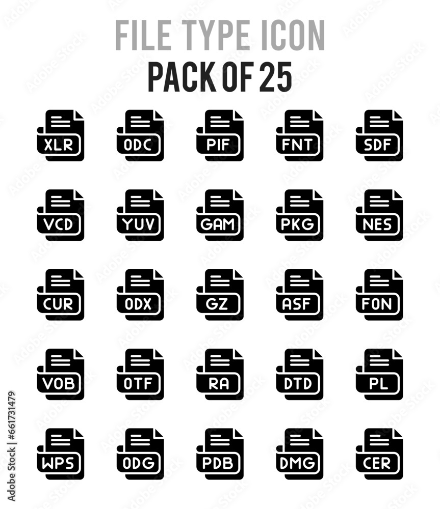 25 File Type Glyph icon pack. vector illustration.
