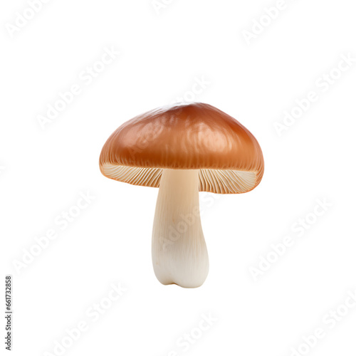 Side Top View Angle isolated on transparent or white background, PNG