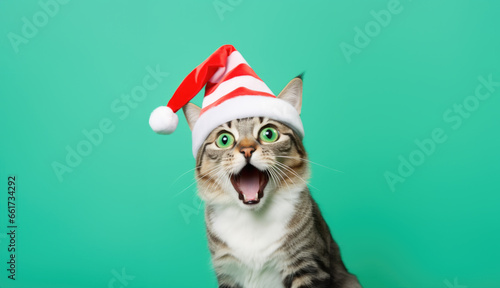 Chat surpris en bonnet de Noël sur fond turquoise photo