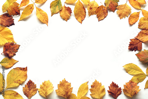 A frame of autumn yellow and brown leaves on a white background.