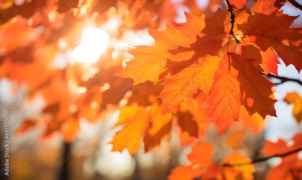 autumn leaves on a tree, Generative AI autumn leaves on a tree, Generative AI