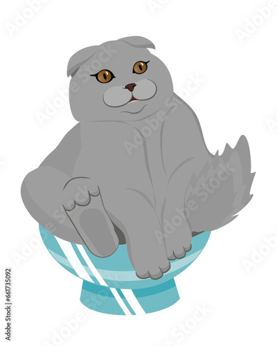 Cute gray cat sitting in a blue bowl. Vector illustration.