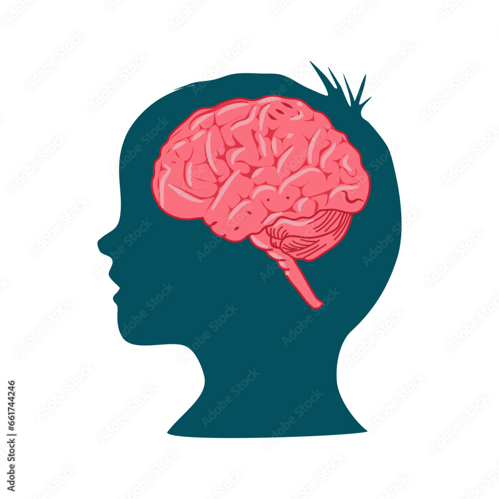 A child's head in silhouette with a sectioned brain. Concept for child mental, psychological development, brain development, learning and education or other medical theme A child's head in silhouette with a sectioned brain. Concept for child mental, psychological development, brain development, learning and education or other medical theme
