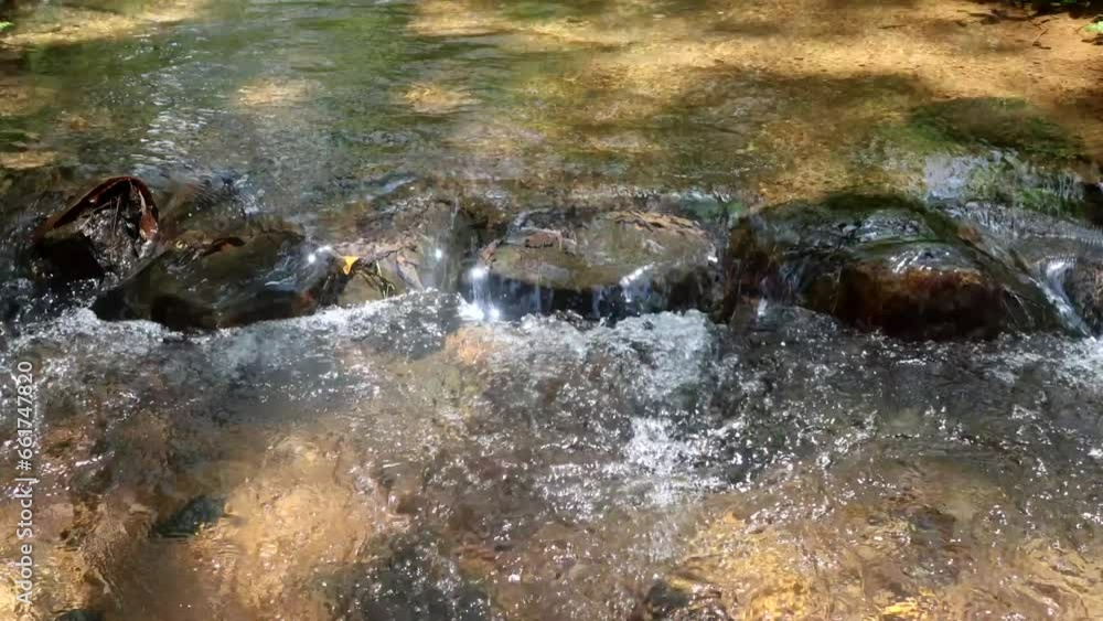 Clear water stream flowing with soothing sounds. Water running over stones lined in the water. Sunlight reflecting in the flowing water in a creek. Clear water stream flowing with soothing sounds. Water running over stones lined in the water. Sunlight reflecting in the flowing water in a creek.