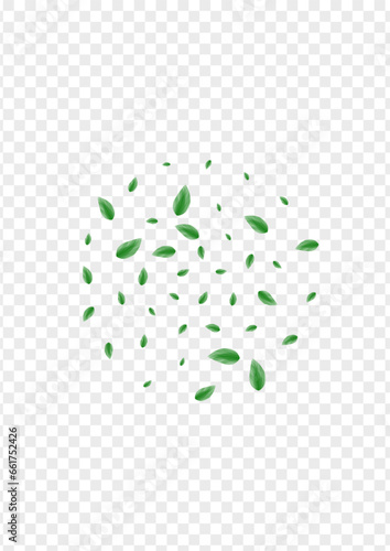 Light Green Sheet Background Transparent Vector. Plant Realistic Texture. Growing Illustration. Green Style Frame. Greenery Fresh.