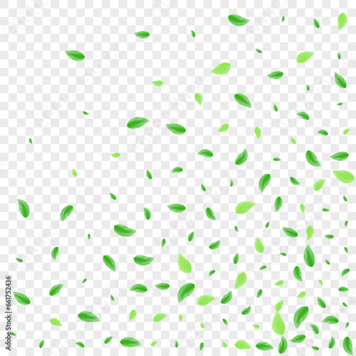Green Foliage Background Transparent Vector. Greenery Icon Texture. Wild Frame. Greenish Forest Design. Sheet Falling.