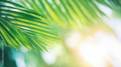 Blur beautiful nature green palm leaf on tropical beach with bokeh sun light wave abstract background