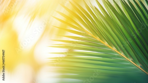 Blur beautiful nature green palm leaf on tropical beach with bokeh sun light wave abstract background