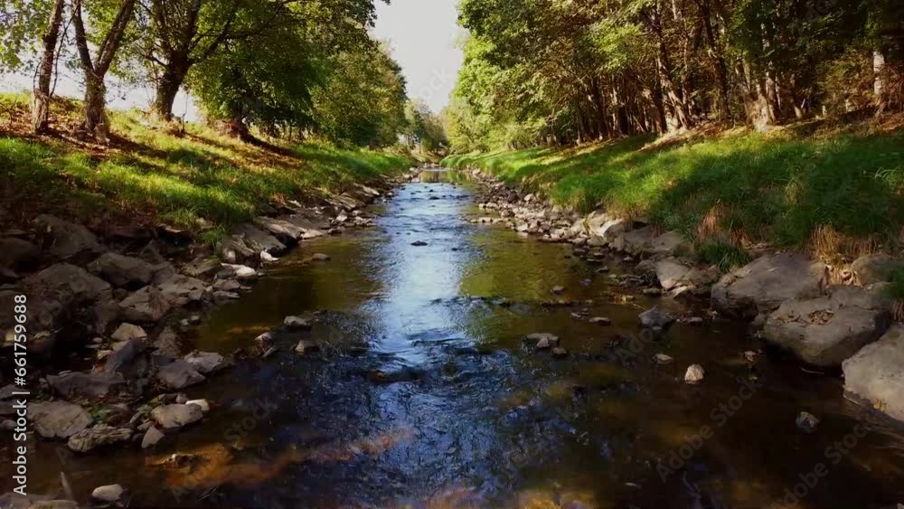 River with stones and trees byside River with stones and trees byside