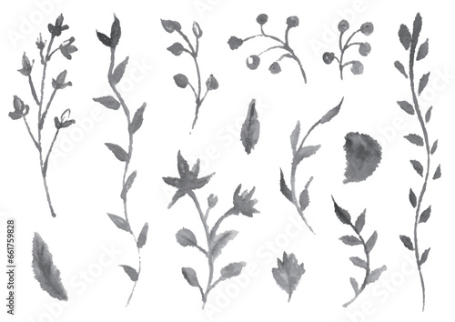 墨で描いた様々な植物の素材セット