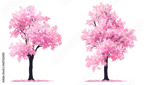 cherry tree, Vertor set of spring blossom tree,bloomimg plants side view for landscape elevation and section,eco environment concept design,watercolor sakura illustration,colorful season