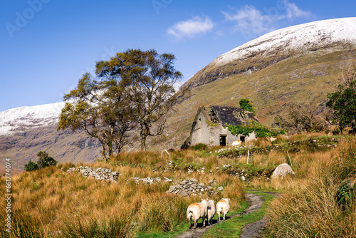 Drumluska Cottage, Black Valley, Killarney, Kerry, Ireland  photo