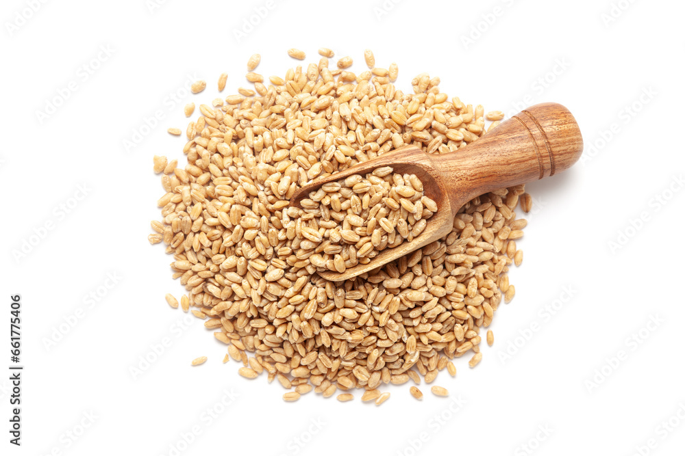 A pile of Organic Wheat Grains (Triticum) or caryopsis fruits with a wooden scoop, isolated on a white background. Top view A pile of Organic Wheat Grains (Triticum) or caryopsis fruits with a wooden scoop, isolated on a white background. Top view