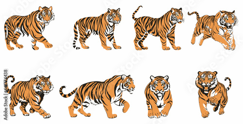 set of illustration of tigers. standing tiger running hunting pose. three colors. isolated on a white background. eps 10