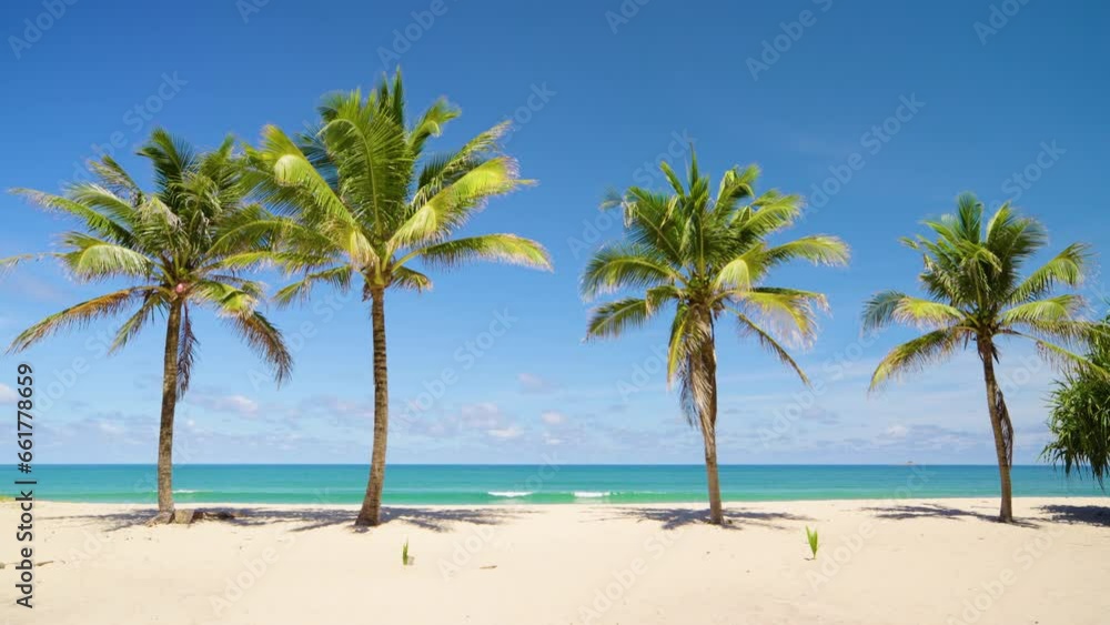 Coconut trees view beach panorama. Scene sumer beach blue sky seascape ocean. Copy space.
