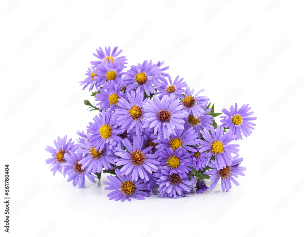 Bouquet of chrysanthemums.