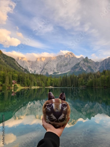 Big floppa plushie in Italy lake.