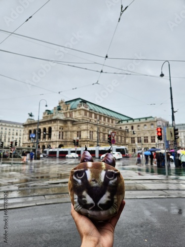 Big floppa plushie in Vienna, Austria