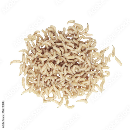 Top view of pile of maggot isolated on white