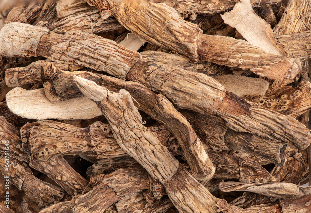 Dired Calamus Flargoot or Acorus calamus roots background. Dired Calamus Flargoot or Acorus calamus roots background.