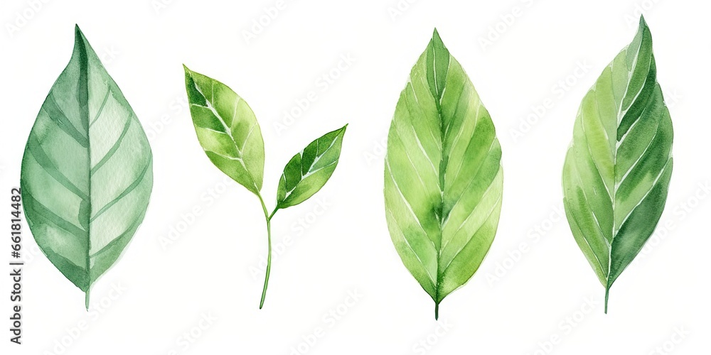 Lush green leaves. Natural beauty in spring. Botanical elegance. Leaf in summer. Close up of fresh foliage in great outdoors. Illustration of bright elements Lush green leaves. Natural beauty in spring. Botanical elegance. Leaf in summer. Close up of fresh foliage in great outdoors. Illustration of bright elements