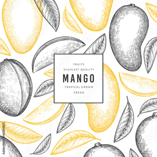 Hand drawn sketch style mango banner. Organic fresh fruit vector illustration. Retro mango fruit design template