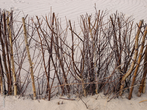 Nature's Artistry: Sand-Draped Sticks on the Shore